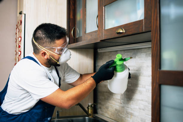 Best Cockroach Control Services  in St Henry, OH