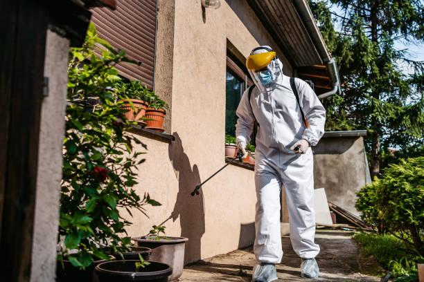 Best Bed Bug Extermination  in St Henry, OH